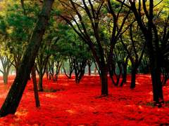 [진뷔] 월하호귀전(月下虎鬼傳)