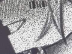 오랜만에 제가 뉴짤을 짰단 소식인데요