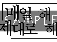 매일 해. 제대로 해.