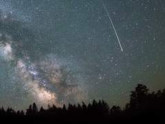 [백망되/정록] The end star