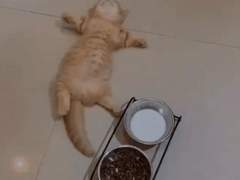 127막내 김여주 모먼트 EP.32