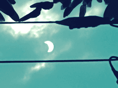 그여식 그림 모음1