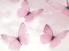 𝐌𝐢𝐫𝐚𝐠𝐞 𝐌𝐢𝐜𝐡𝐞𝐥 ( 미라쥬 미셀 )