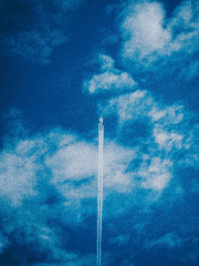 [오이카게] 애상, 哀傷