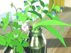 화인과 인간의 만남