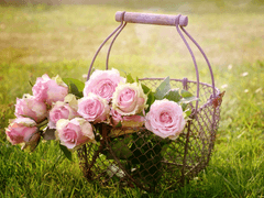 [렌탄 합작 모집 / 동화]