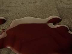 나뭇가지에 피어나는 튤립 ep.3