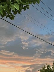 헤온의 하루 일기