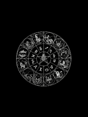 일반 커뮤 프로필