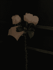 아픔들의 이야기