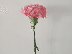 그런 의미로 널 좋아해