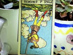 이번 주의 카드: Page of Swords reversed