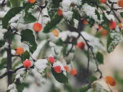 타케른ts) 저 하나가키 타케미치 양아치 그만 둡니다(일시적이지만) 2