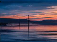 마지막 순간까지 이기적이었던,