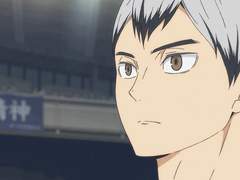 여우야 여우야 다 숨었니 (6)