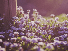 우리는 불완전한 약속을