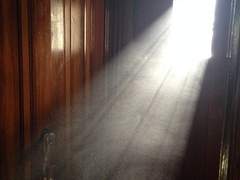 [국민] 담장 너머의 정원 17