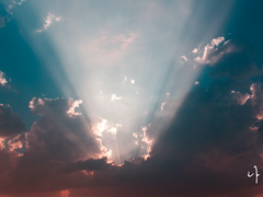 [주원동식] 나이테 05