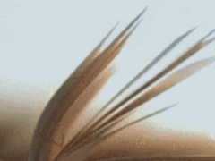 [방탄소년단 빙의글 / 남주물] 그저 지나가는 ep.15