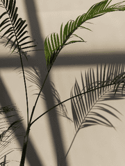 당신은 소크라테스