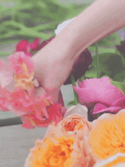 (BTS빙의글/남주물) 먼산바라기