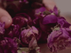 [방탄소년단 빙의글 / 남주물] 송아리 ep.8