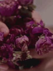 (BTS빙의글/남주물) 송아리