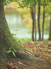 INTERLUDE 2nd Season : Operation ARC