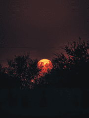 [BL] 아포칼립스적 사랑 방식