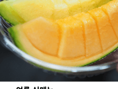 여름 신메뉴 탐방일지