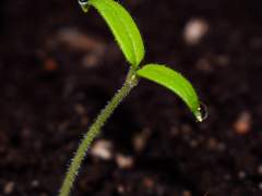 다름없이, 혼자가 아닌 둘일 텐데.