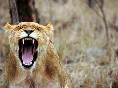 그라데이션 분노