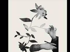 [보쿠아카] 생각의 부피