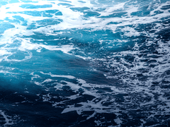 레폰트로 오웨니프 | XY | 21 | 행정팀