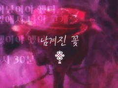 유 화, 적란, XX, 23