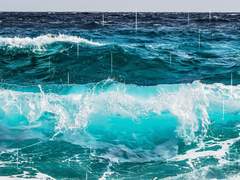 찬란한 여름날 우리는