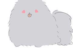 #자캐를_개에_비유한다면