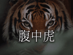 腹中虎 | 호랑이를 배다 -6 (完)