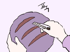 이치카라 자의식만화