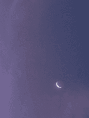 신과함께-강림원맥