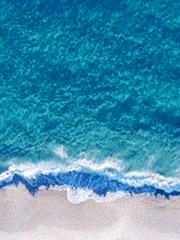 스토니 피터토니