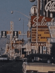 [백도] 치타와 나무늘보