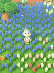 모여봐요 동물의 숲의 팁들