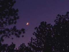 [밍승] 스위트홈