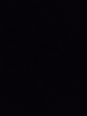 킬러(ㅗ)(욕아님)