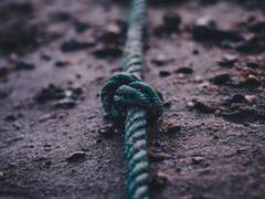 악착같이 살아남아서,