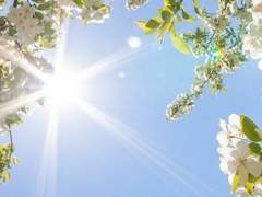 마테우스 A 클라시온 (Mateus A. Classion)