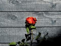 쉬어가기로 했습니다 24