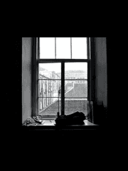 Secret Number (Notice)