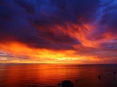 너에겐 이게 기만으로 들려?